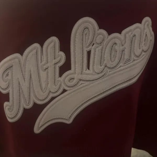 Customer photo review of Custom Collegiate Team Name Wrap – Classic Varsity Style