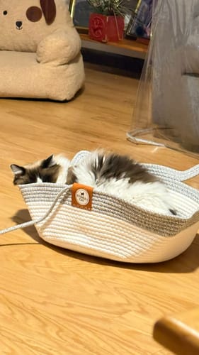 Customer's fluffy cat resting inside the white and grey rope Instinct Basket on a wood floor.