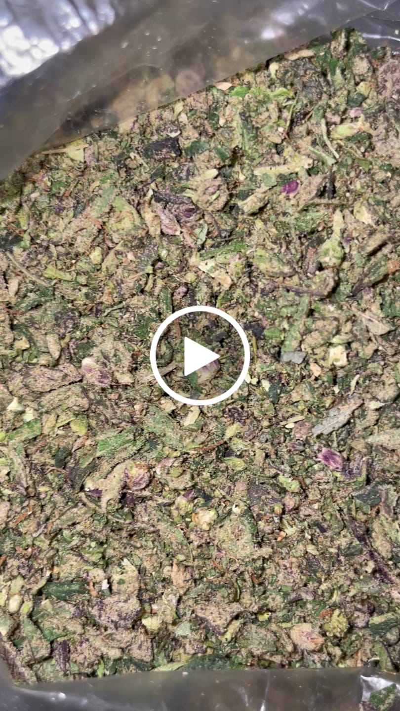 Customer video review of No6. Purple Cake THCa Shake (Wholesale)