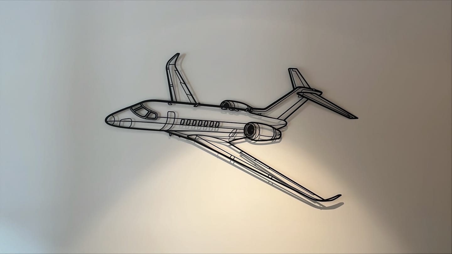 Customer photo review of Citation Longitude Angle Silhouette Metal Wall Art