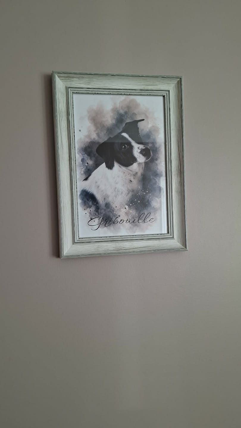 Customer photo review of Ton animal de compagnie en œuvre d’art – avec aperçu en direct, en poster ou sur toile.