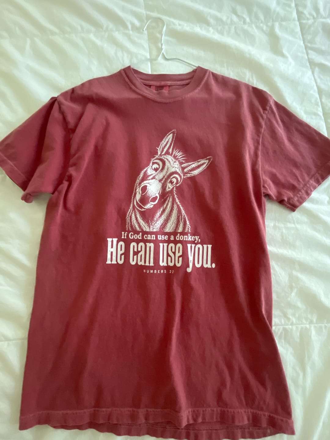 Customer photo review of Balaam's Donkey T-Shirt