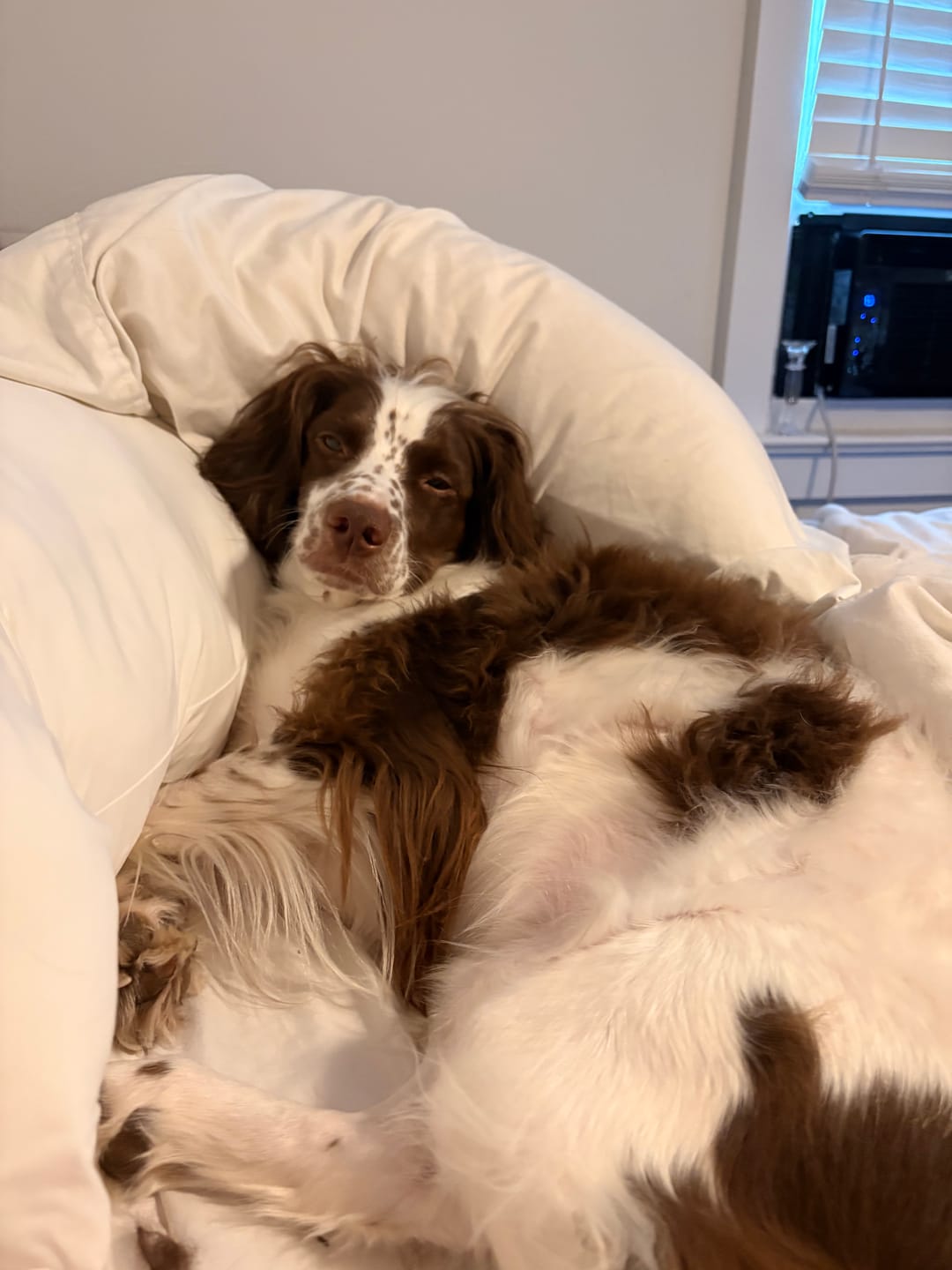 Customer photo review of Puff Pillow