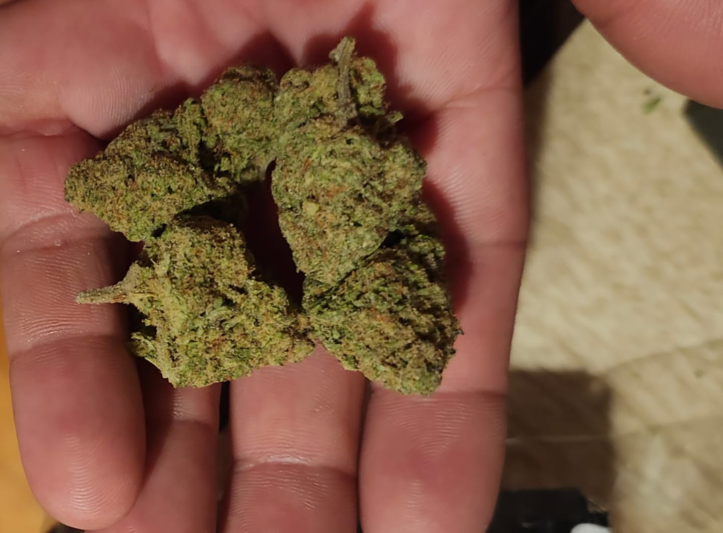 Customer photo review of Animal Mintz | THCA Flower