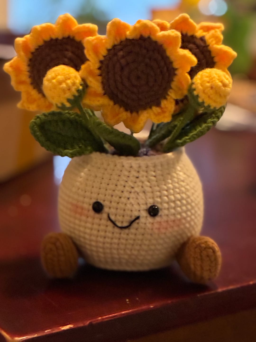 Customer photo review of Handmade Crochet Plant Pot Collection – Cute Flower, Mushroom & Strawberry Amigurumi Desk Decor
