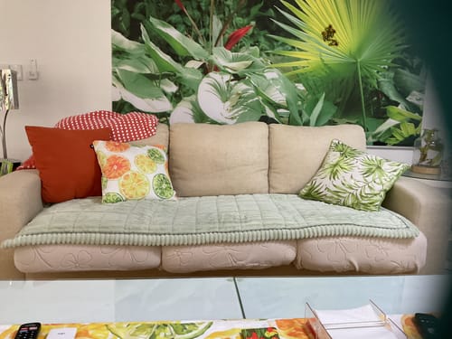 Customer photo review of Cosy Couch - Couch Cover