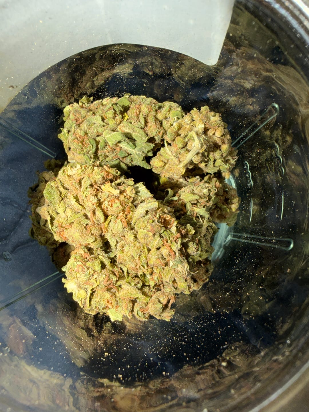 Customer photo review of Northern Lights - 28 Grams - Indica