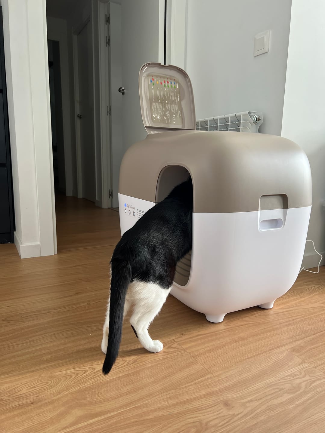 Customer photo review of Self-Cleaning Litter Box
