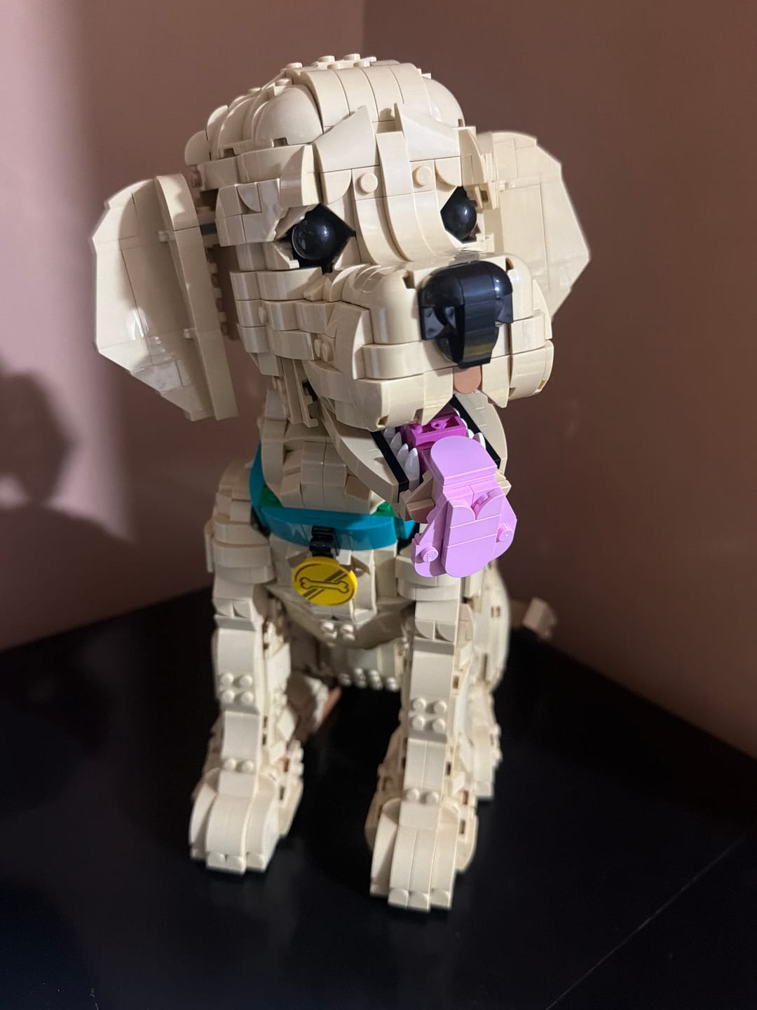 Customer photo review of Cachorro de Golden Retriever