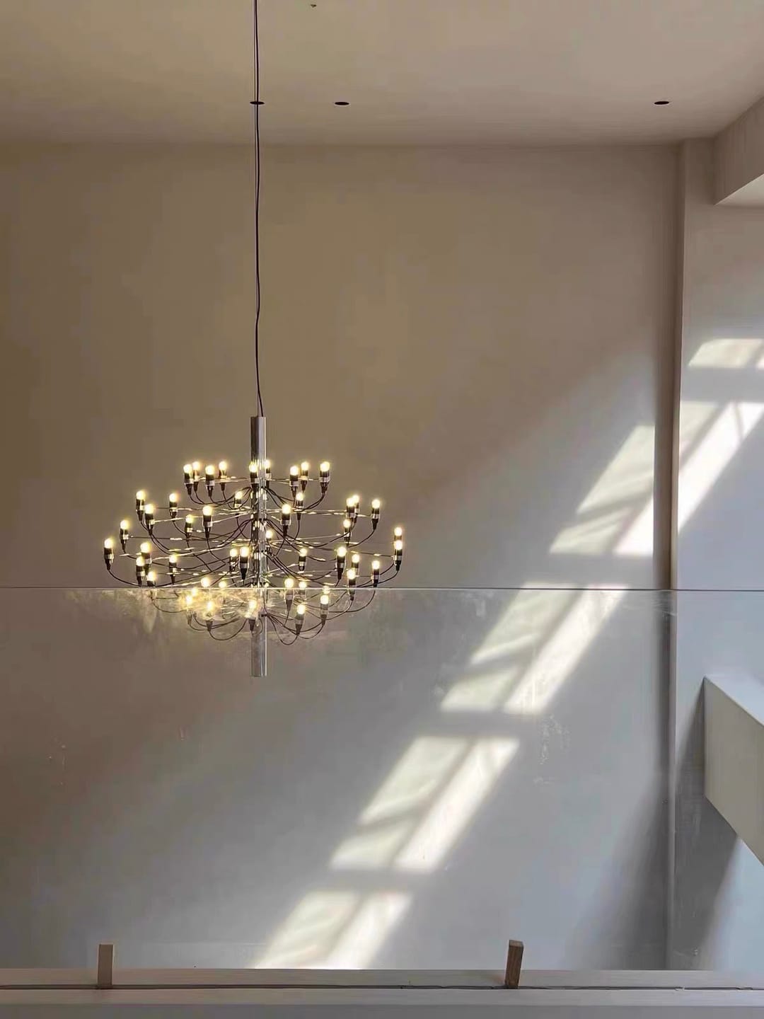 Customer photo review of Bulb Starburs