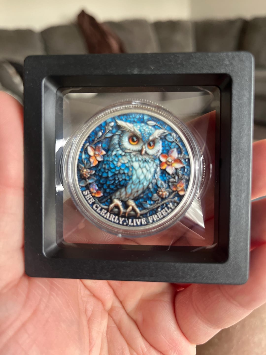 Customer photo review of Owl & Recovery Triangle Sobriety Coin – See Clearly