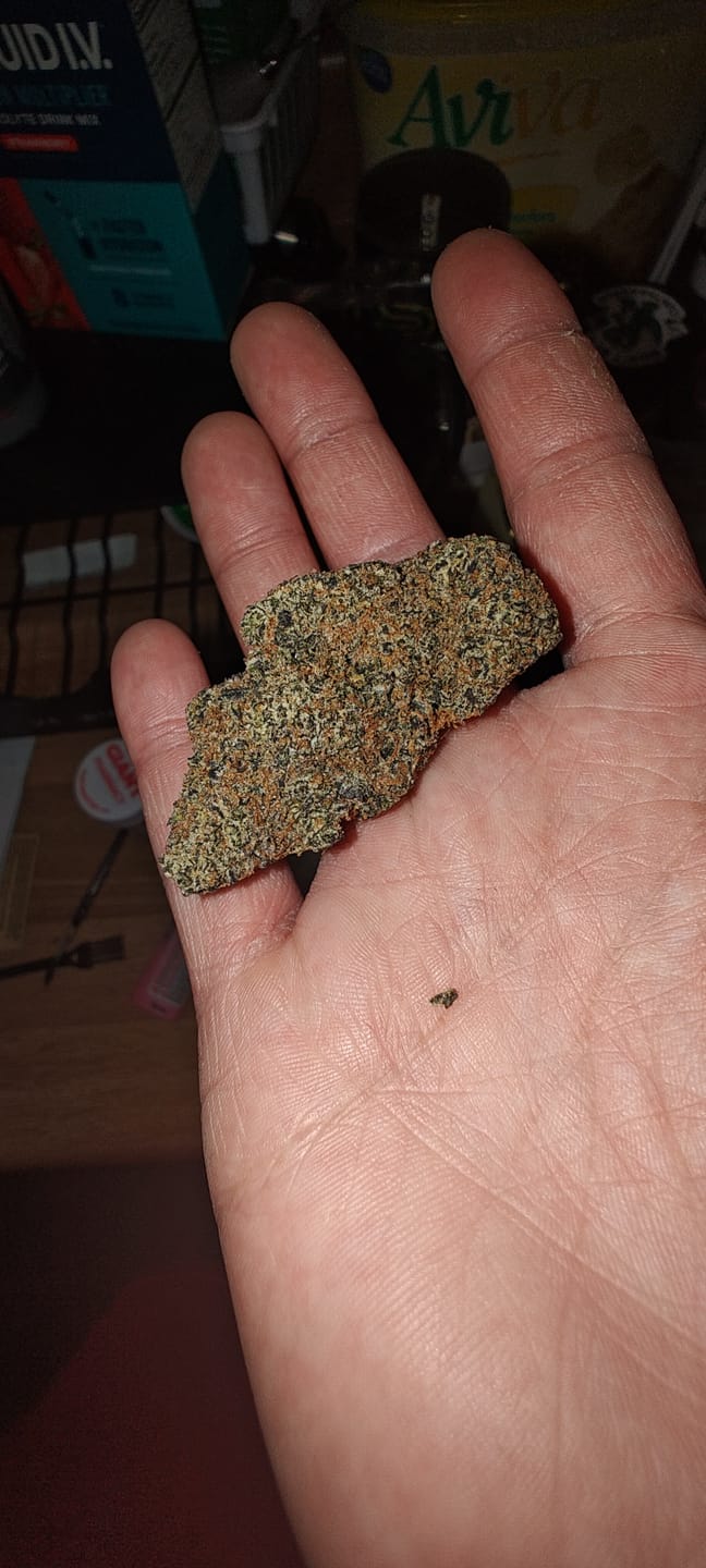 Customer photo review of Cheap Indoor THCA Flower Ounce