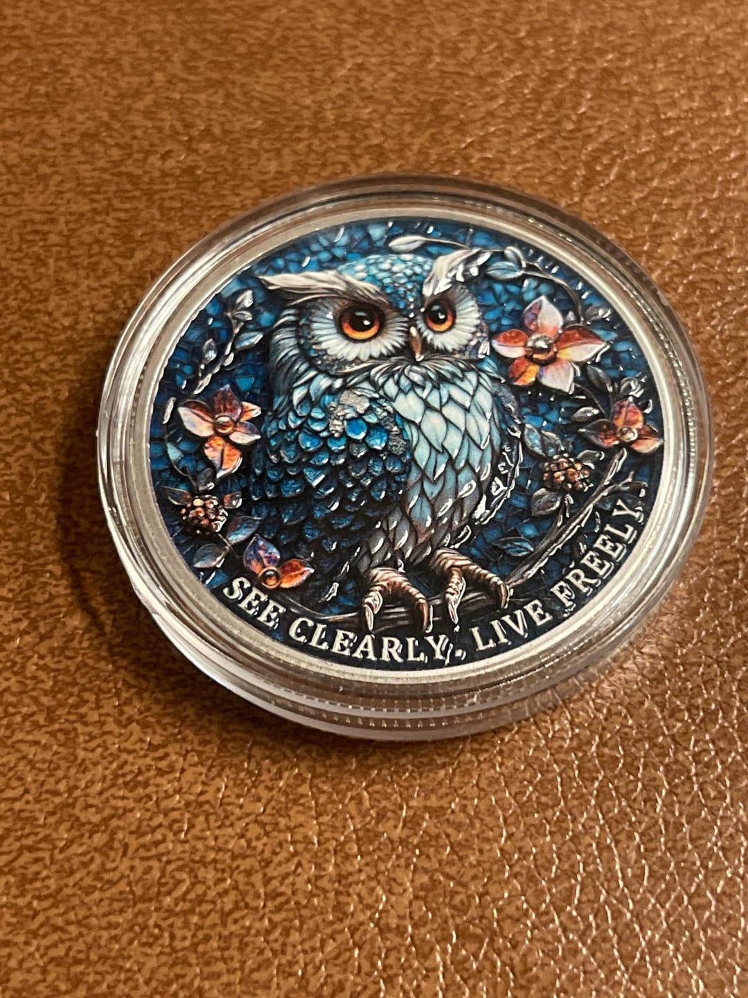 Customer photo review of Owl & Recovery Triangle Sobriety Coin – See Clearly