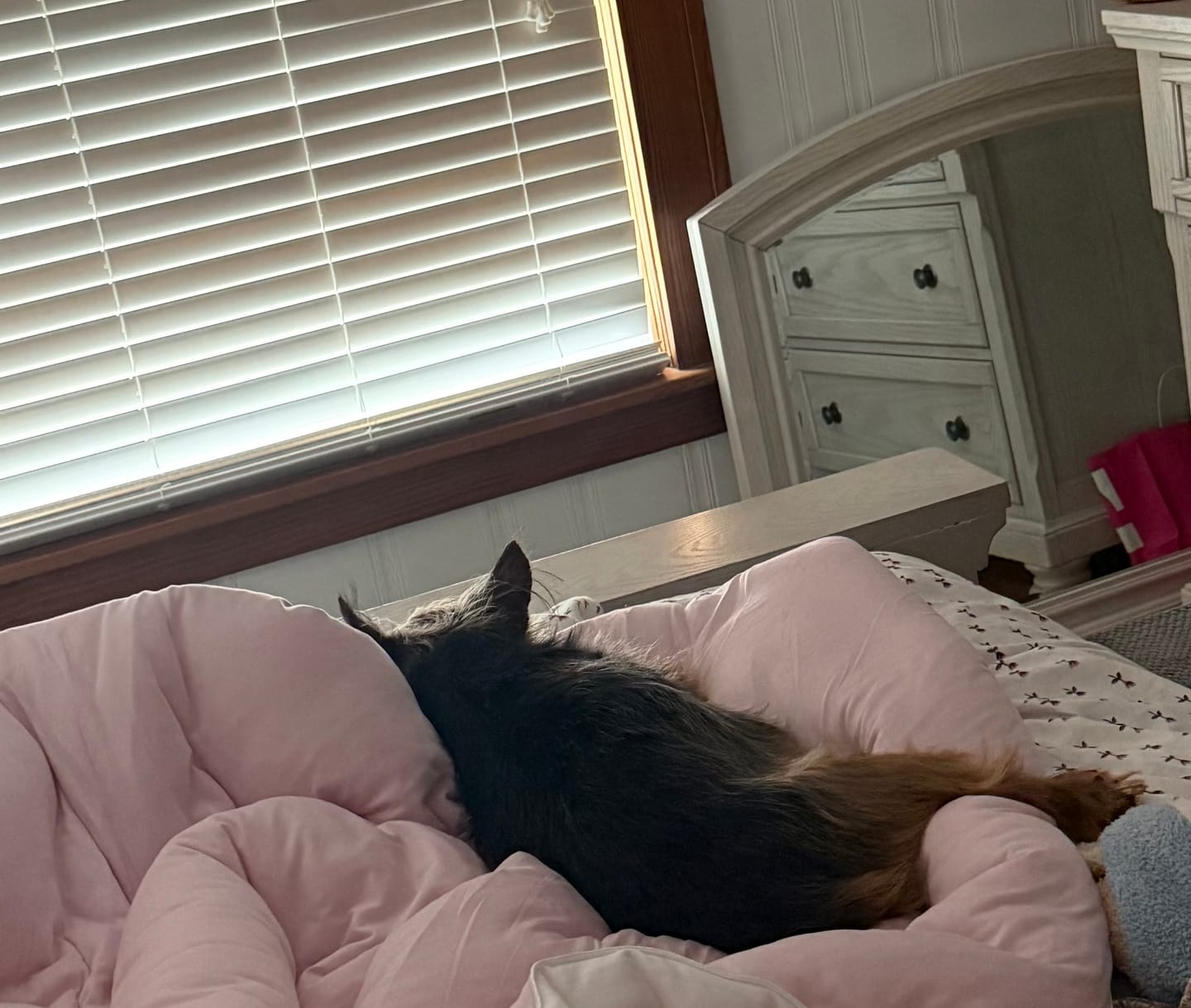 Customer photo review of MarshMellow Comforter