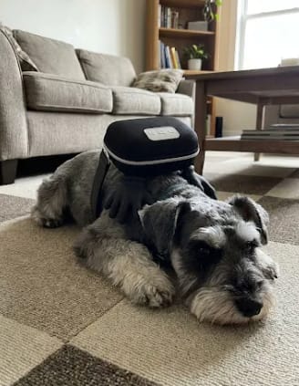Customer photo review of Calming Massager