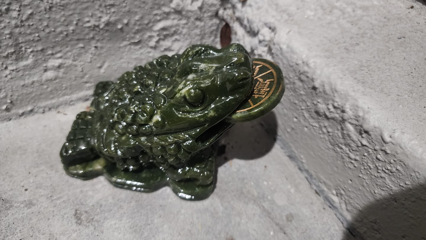 Customer photo review of Hand Carved Feng Shui Wealth Money Toad Frog Serpentine
