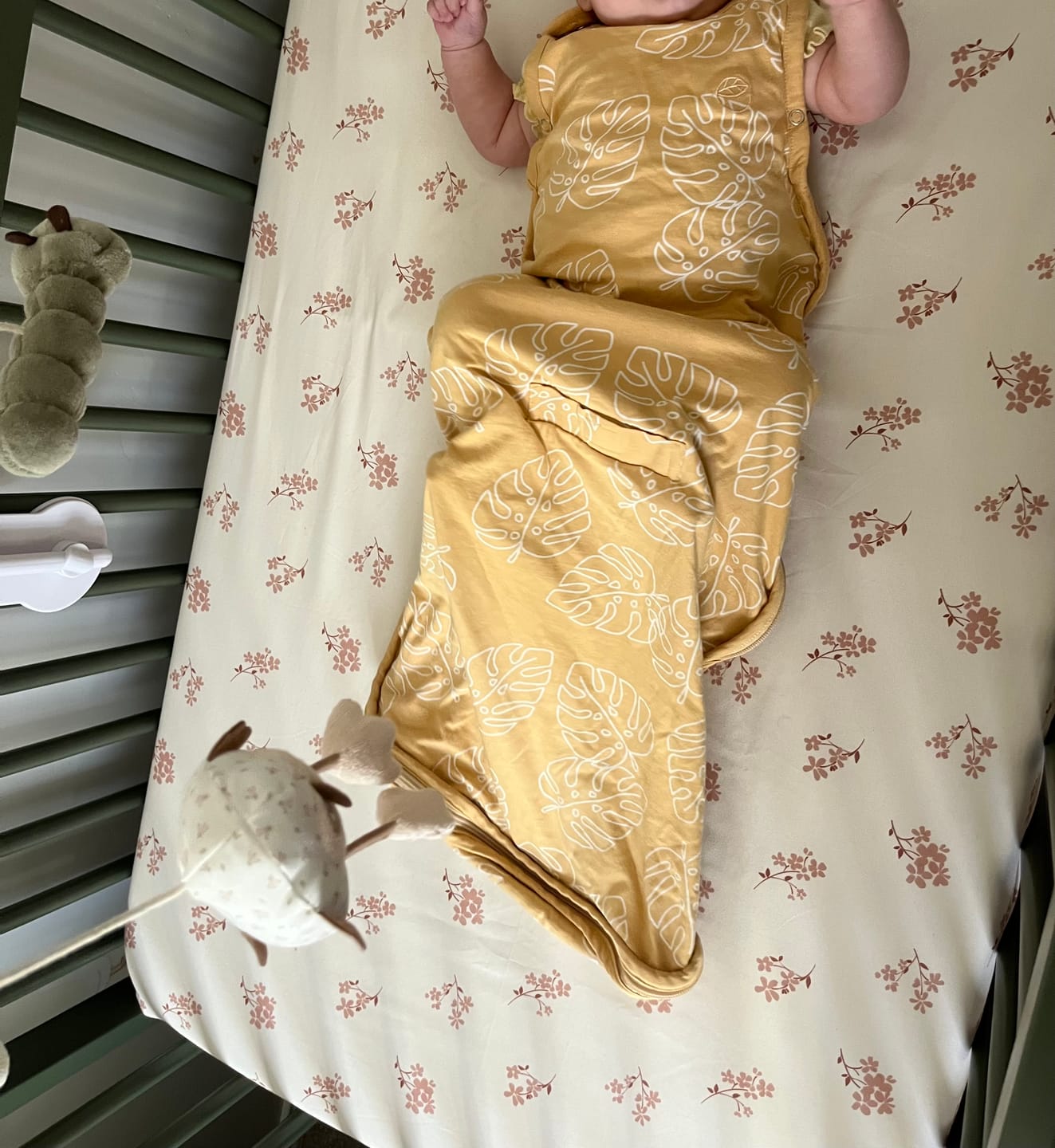 Customer photo review of Ecolino® Adjustable Baby Sleep Bag, Organic Cotton, Universal Size: 2 Months - 2 Years, Monstera Leaf