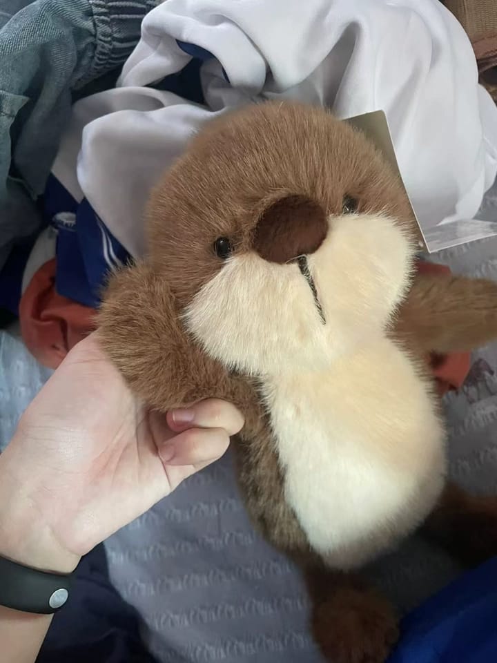 Customer photo review of Obi Otter