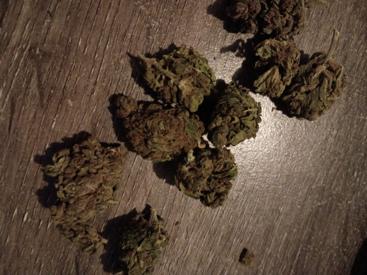Customer photo review of Jungle Gelato - 28 Grams - Indica