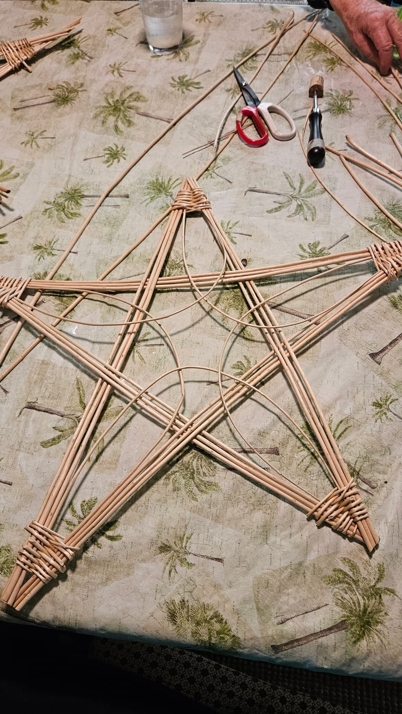 Customer photo review of Getting Started with Willow Course and Kit