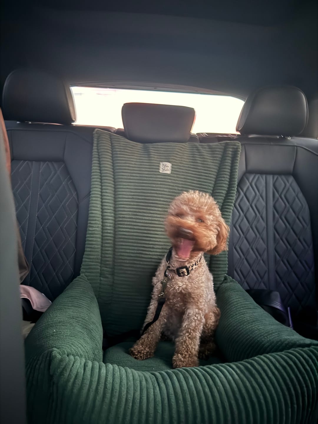 Customer photo review of Seggiolino Auto Velluto a Coste Verde