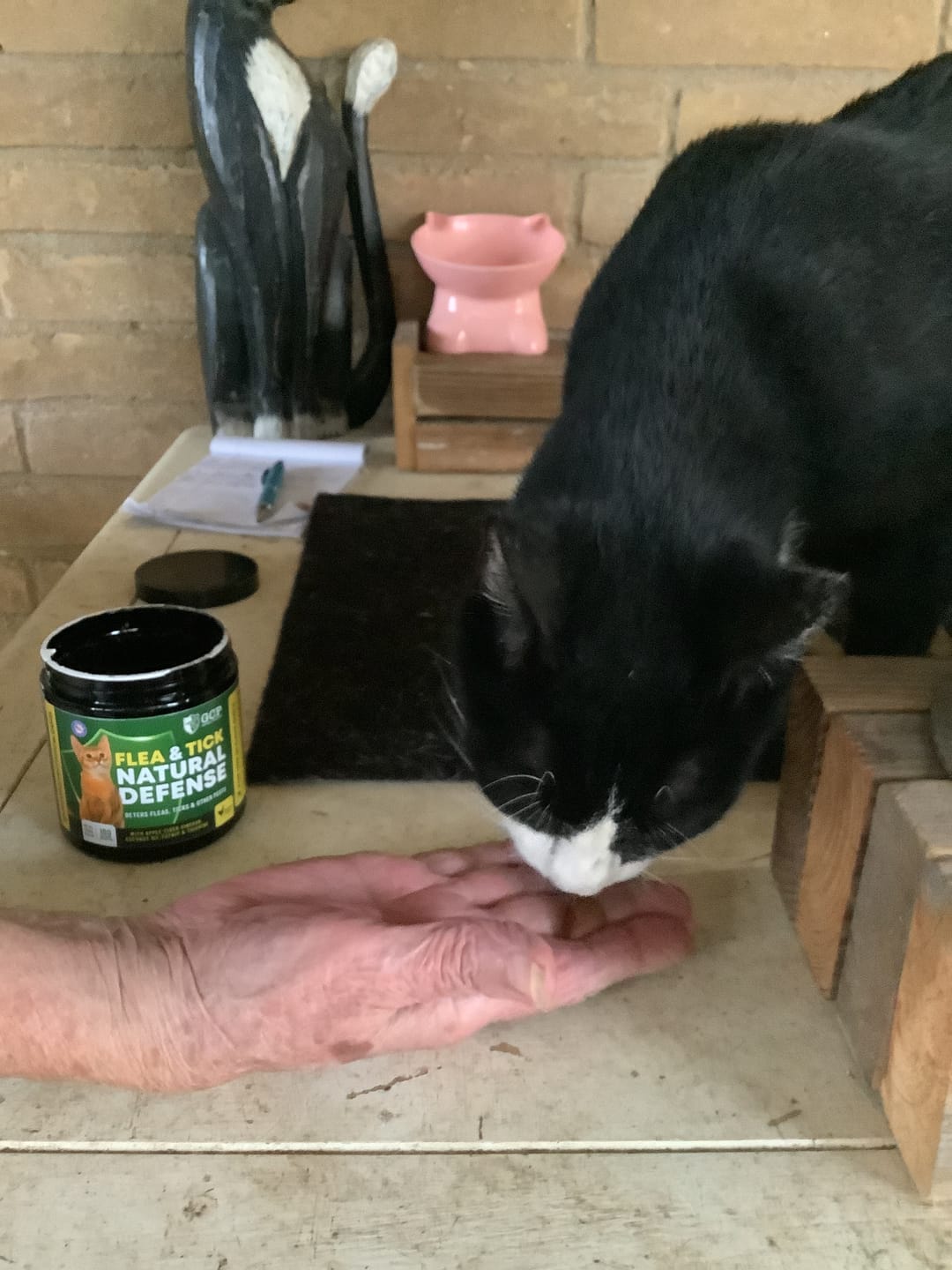 Customer photo review of GCP Flea & Tick Natural Defense for Cats - 100 Soft Chews
