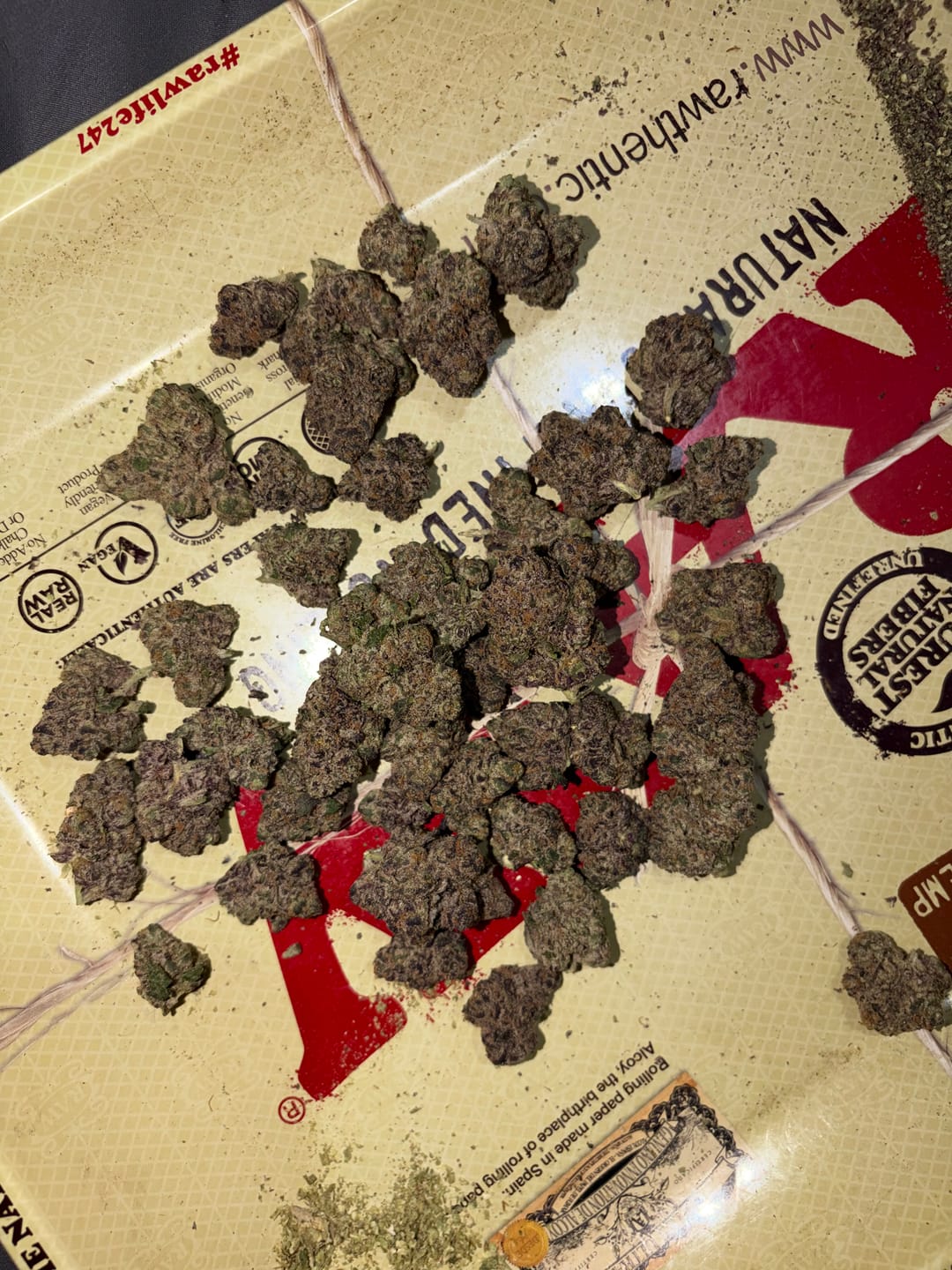 Customer photo review of Sunset Sherbet 26 Grams