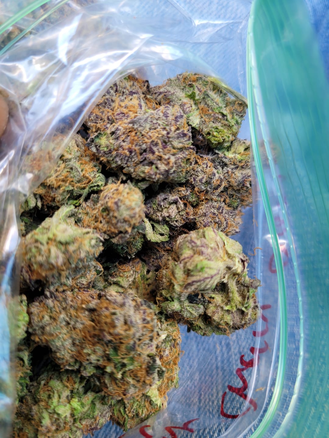 Customer photo review of Raspberry Kush MICROS - 28 Grams - Indica