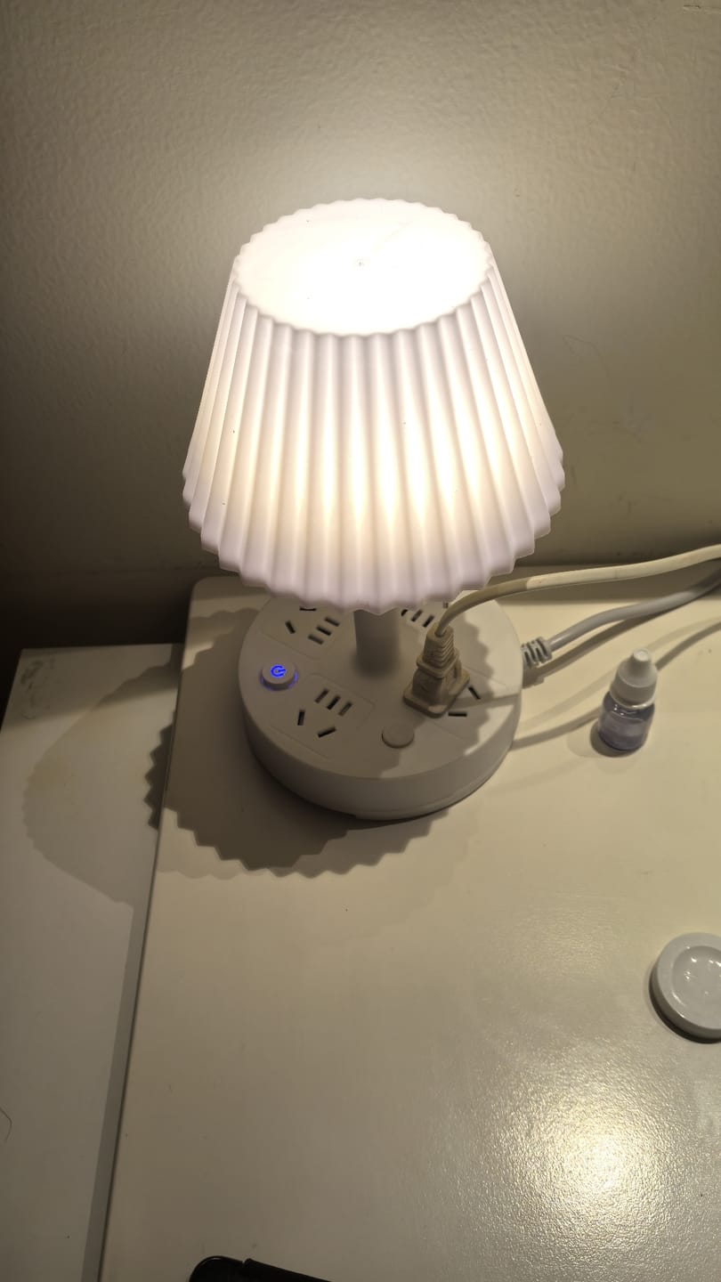 Customer photo review of LED Desk Lamp