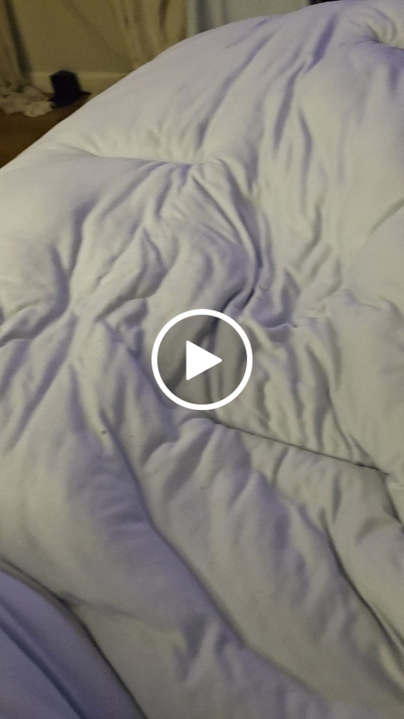 Customer video review of MarshMellow Comforter