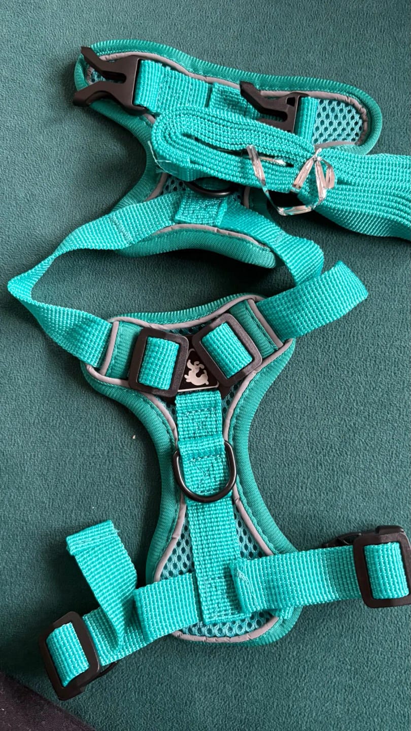 Customer photo review of Dog Harness For Small Dog French Bulldog Pug Pitbull Puppy Pectoral Collar