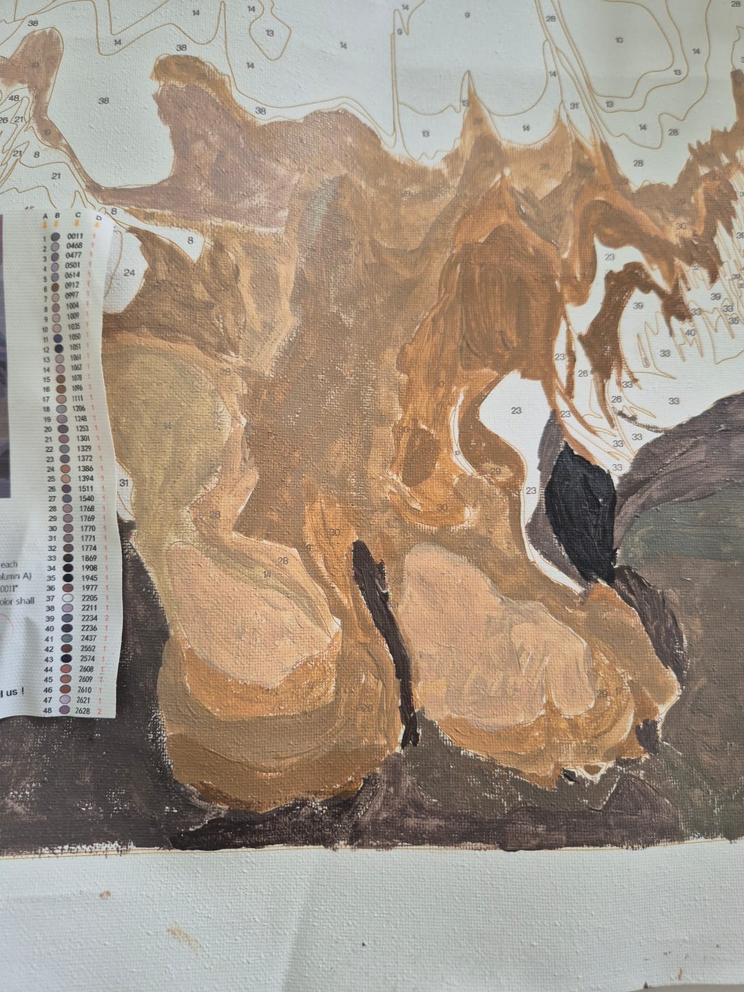 Customer photo review of Custom Paint By Numbers