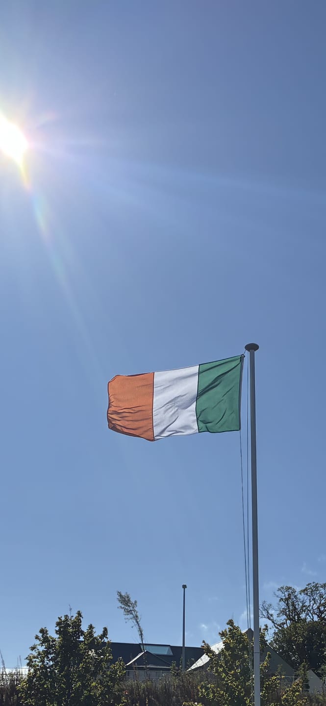 Customer photo review of Ireland National Flag