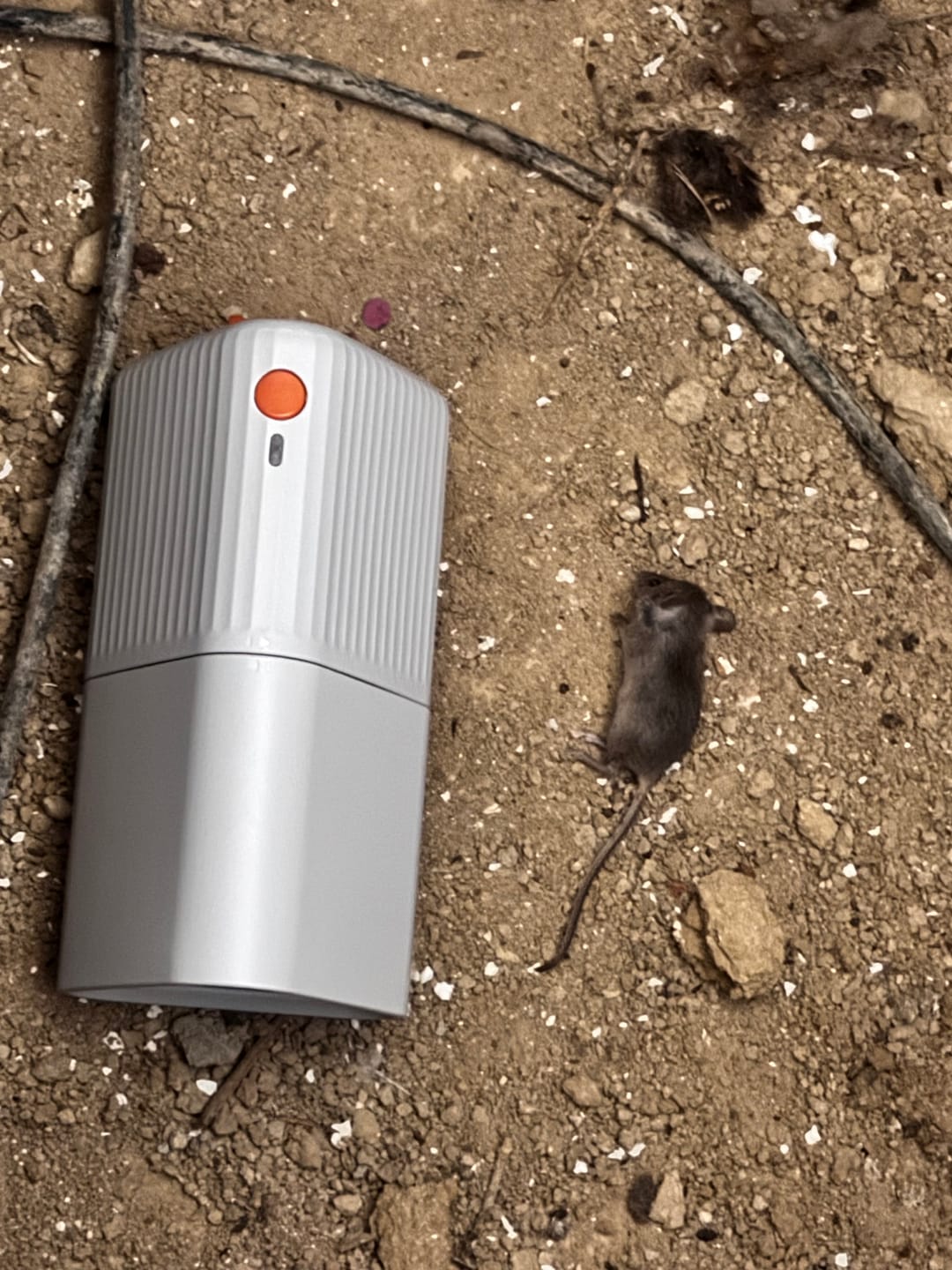 Customer photo review of Mouse Trap
