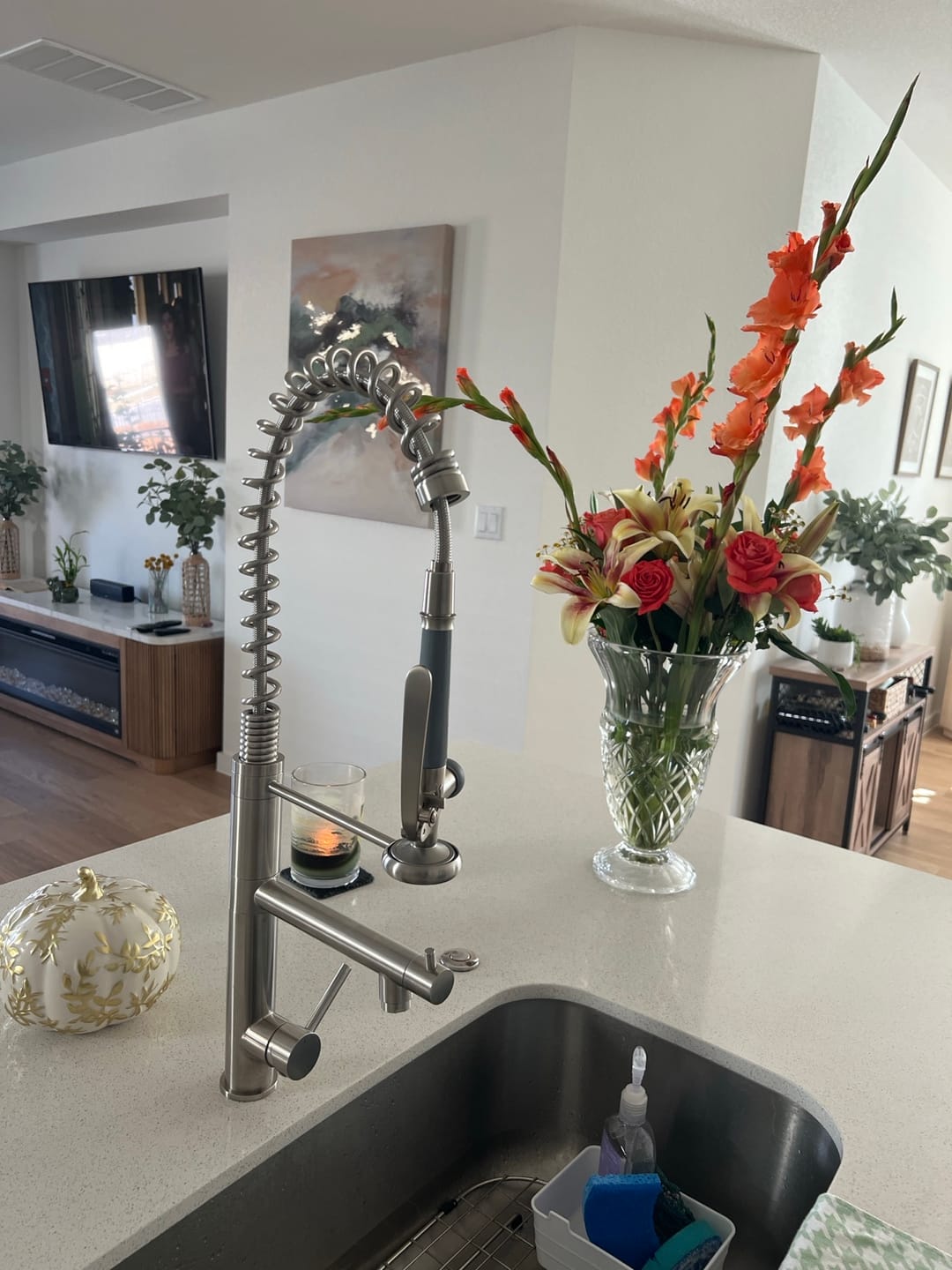 Customer photo review of Klempner Commercial Kitchen Faucet with Pull-Down Sprayer & Pot Filler