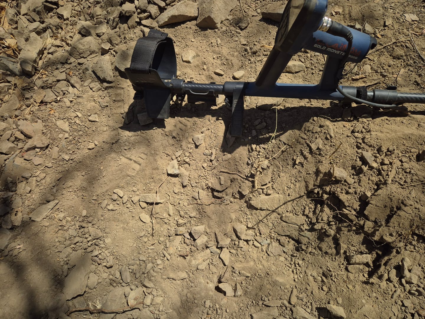 Customer photo review of Stand for the Gold Monster 2000