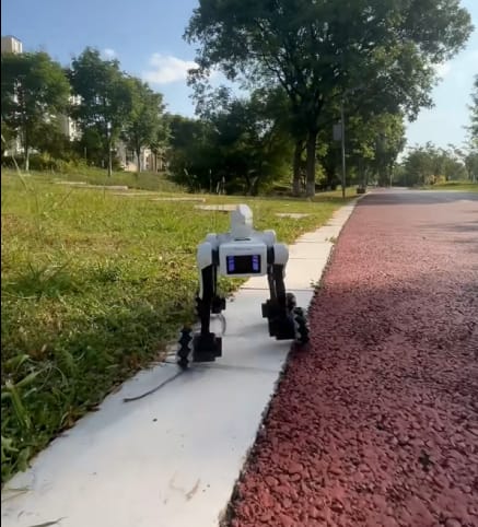 Customer photo review of 3-in-1 Interactive Robot Dog with Voice Control, Remote & Programmable Tricks