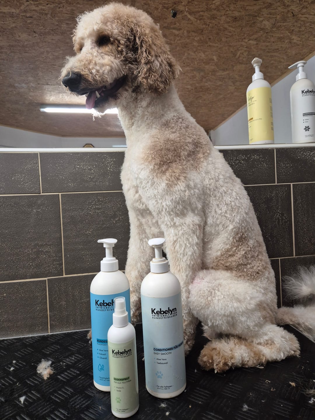 Customer photo review of Fell-Seidenspray