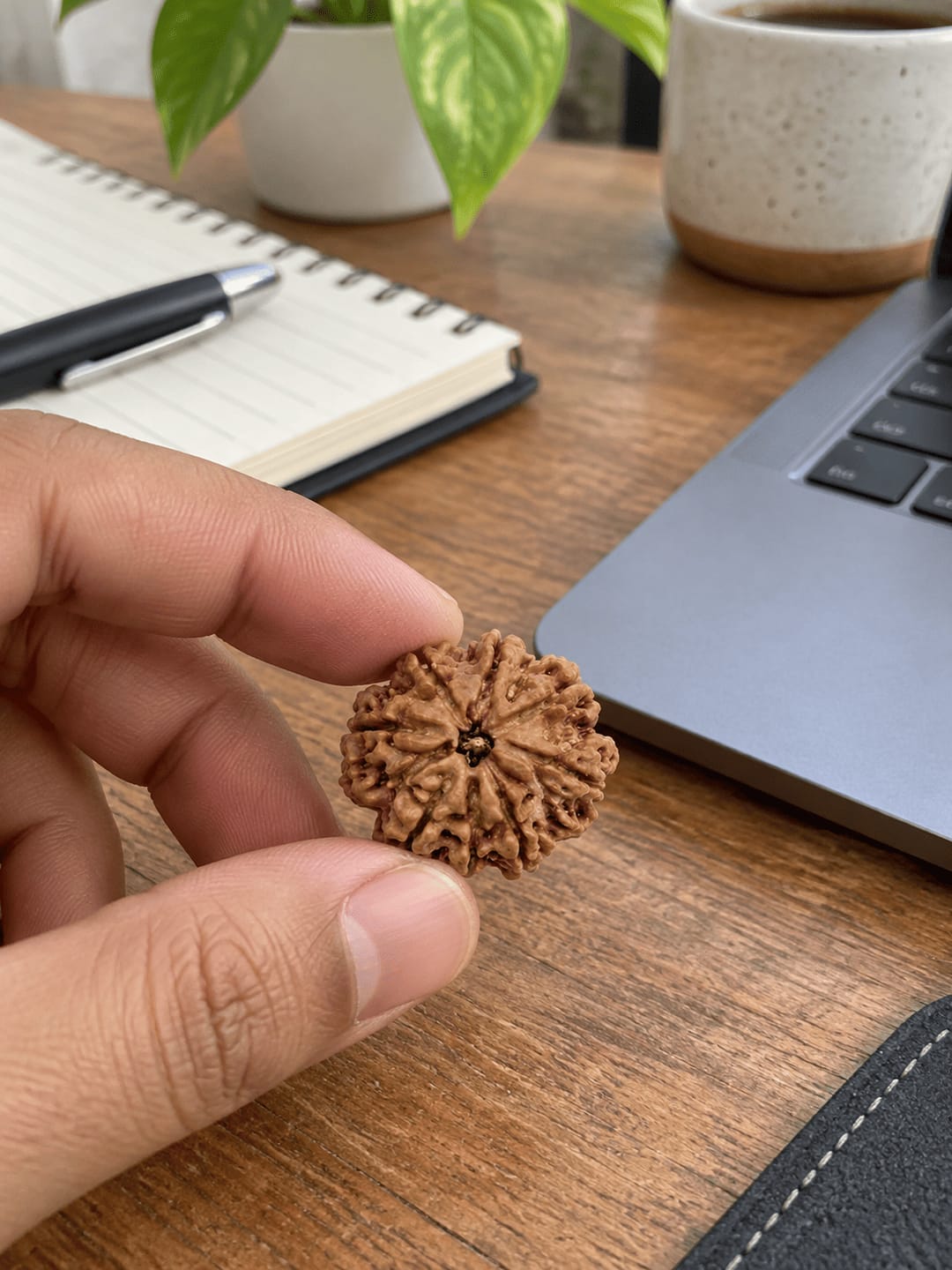 Customer photo review of 8 Mukhi Rudraksha (Nepali)