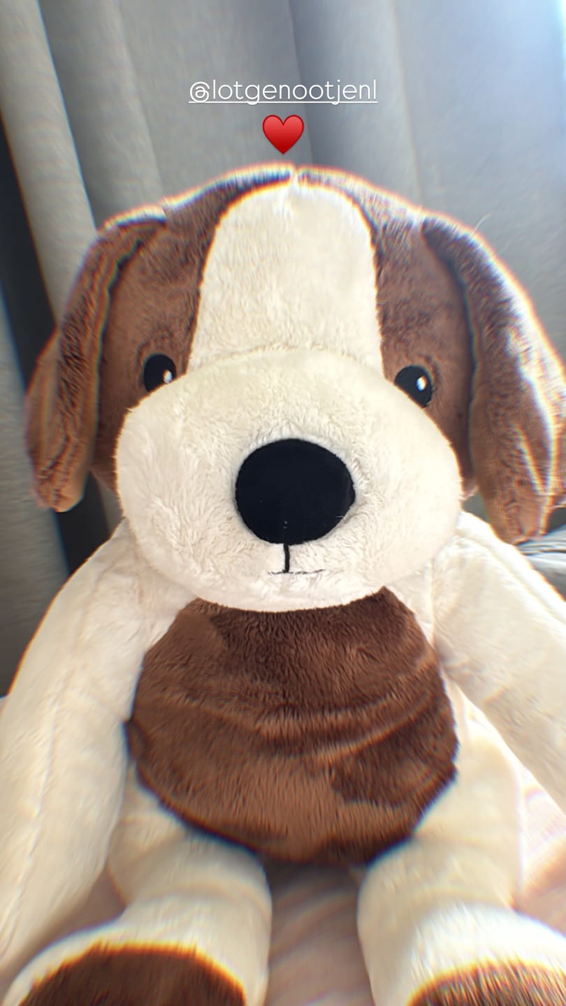 Customer photo review of Lotgenootje Hond 2kg