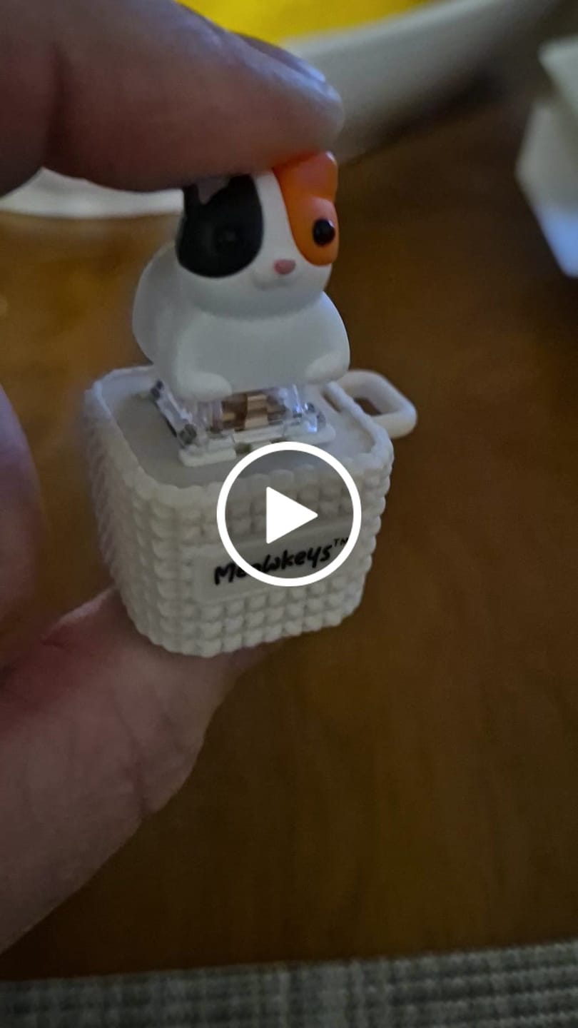 Customer video review of Meowkey - Fidget Toy that Meows!