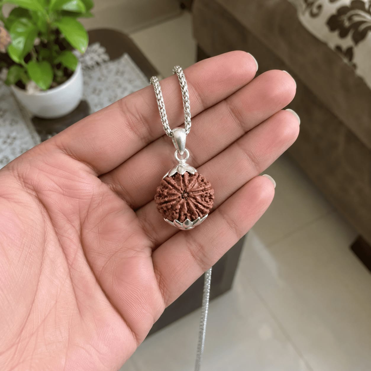 Customer photo review of 8 Mukhi Rudraksha (Nepali)
