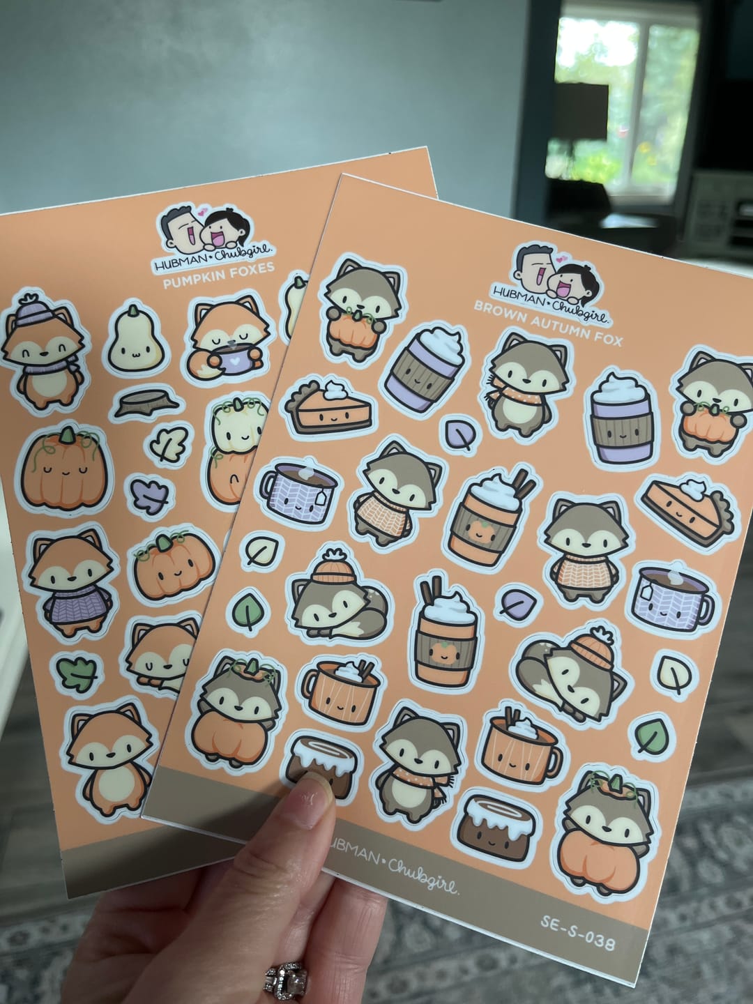 Customer photo review of Pumpkin Fox Sticker Sheet