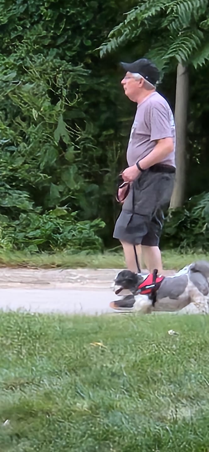 Customer photo review of Dogshood ™ No Pull Harness