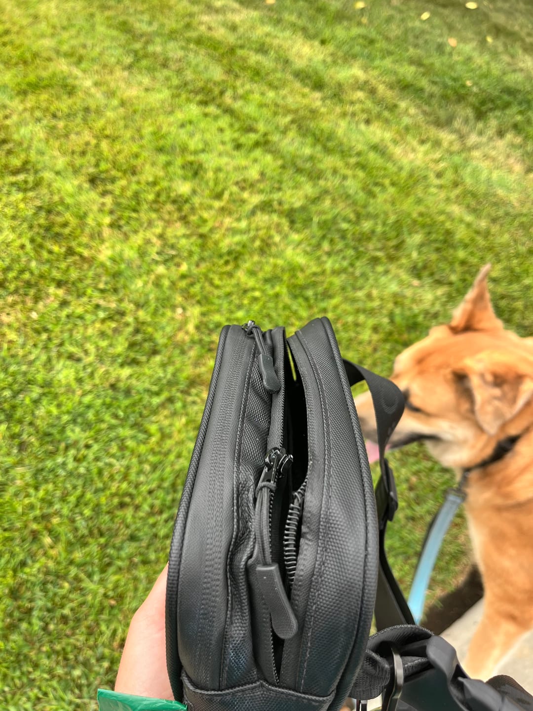 Customer photo review of Cross Body Dog Treat Bag