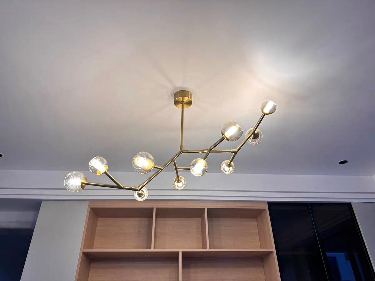 Customer photo review of Branching Chandelier