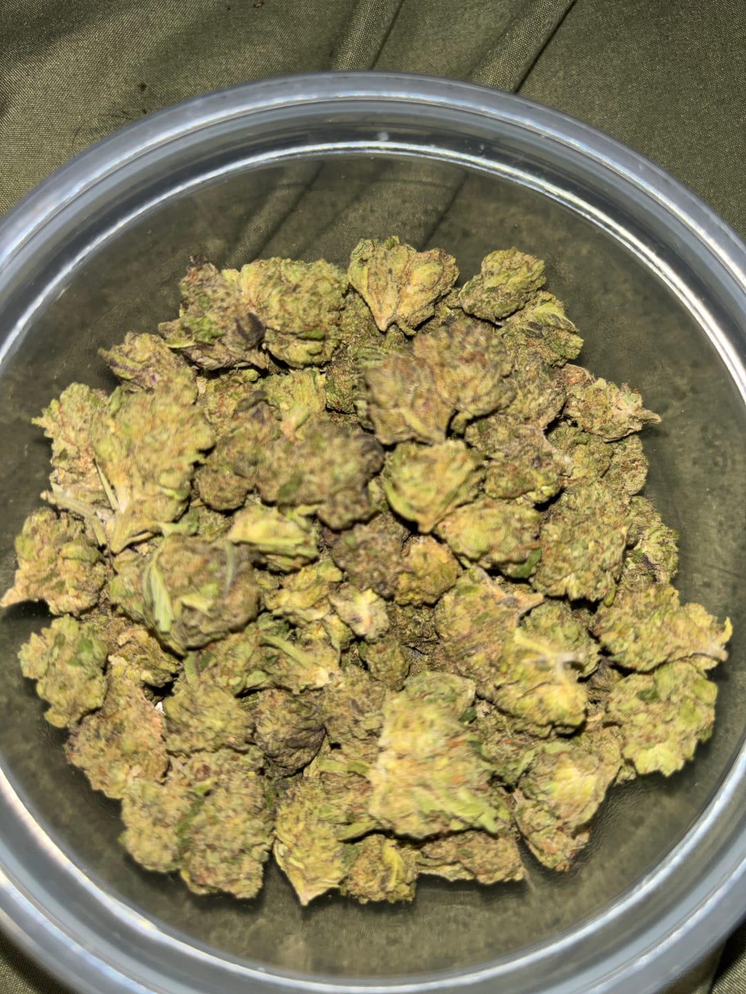 Customer photo review of Greenhouse Smalls