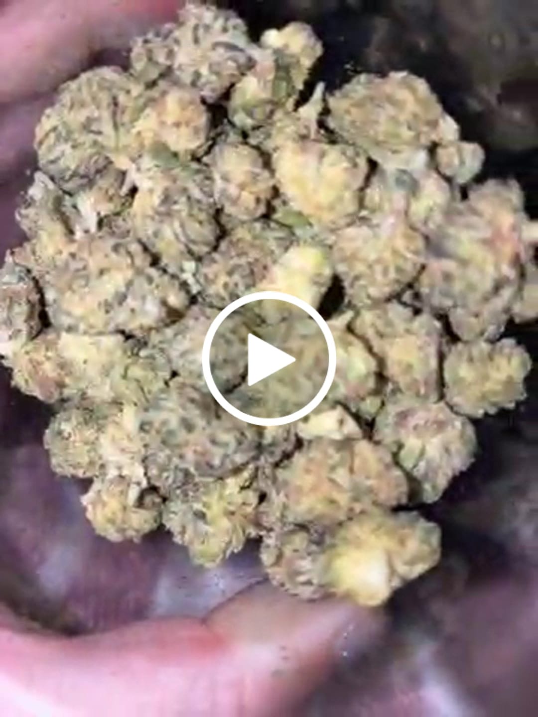 Customer video review of Runtz Smalls – 1oz