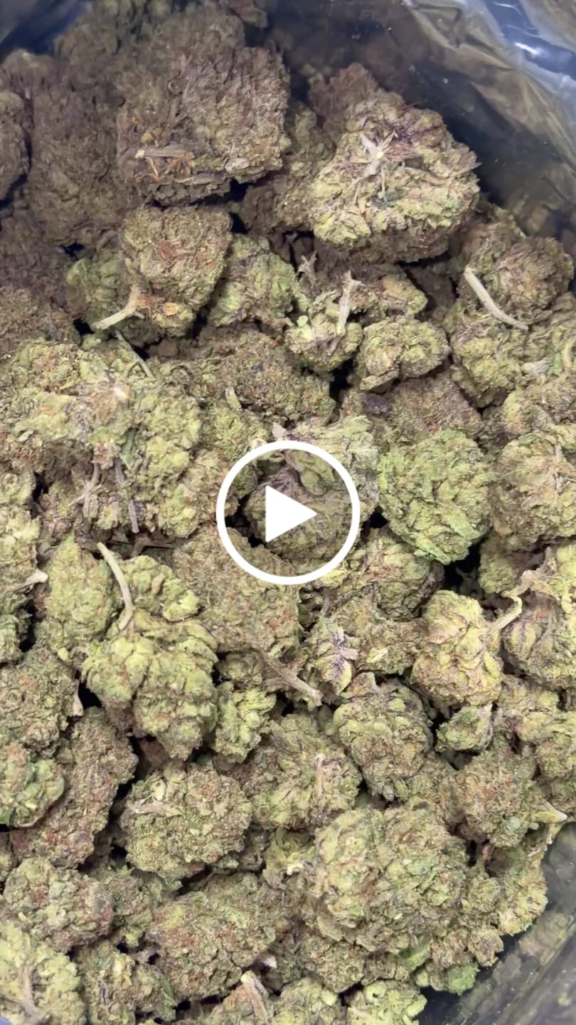 Customer video review of Blue Sharpiez THCA Flower