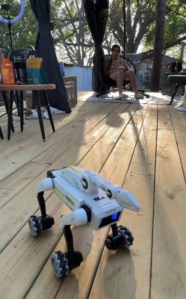 Customer photo review of 3-in-1 Interactive Robot Dog with Voice Control, Remote & Programmable Tricks